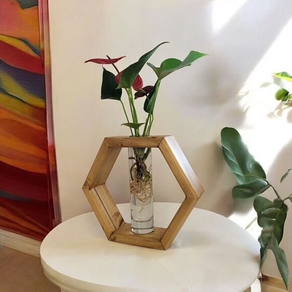 Wooden Hexagon Propagation Floral Vase Decor Centerpiece House Warming Gift - Picture 2 of 7
